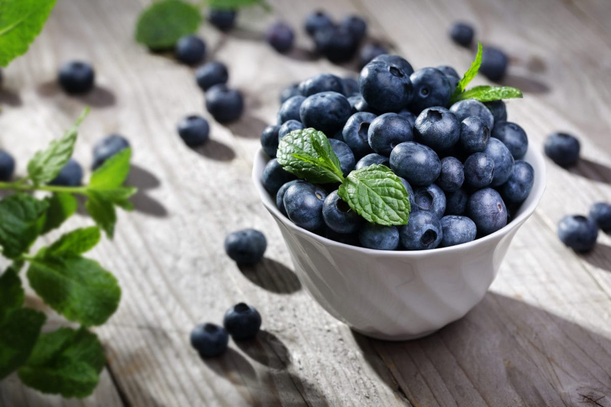 Blueberry antioxidant organic superfood in a bowl concept for healthy eating and nutrition