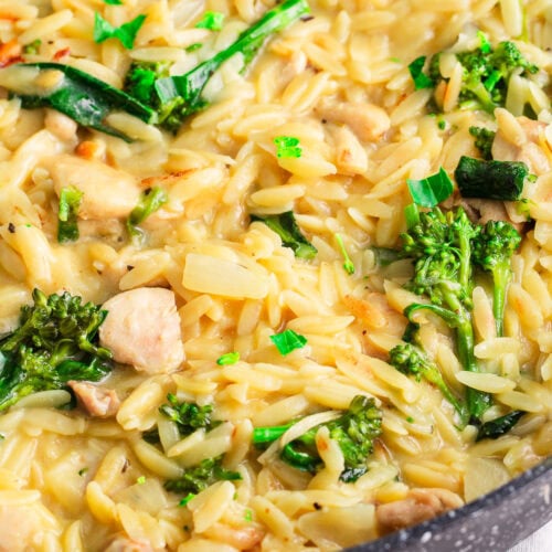 Chicken Broccoli Orzo Casserole in the pan